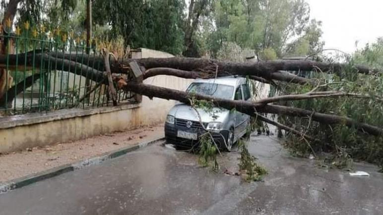 بالصور: عاصفة رعدية بتازة تقتلع الأشجار وتخلف أضرارا بالسيارات