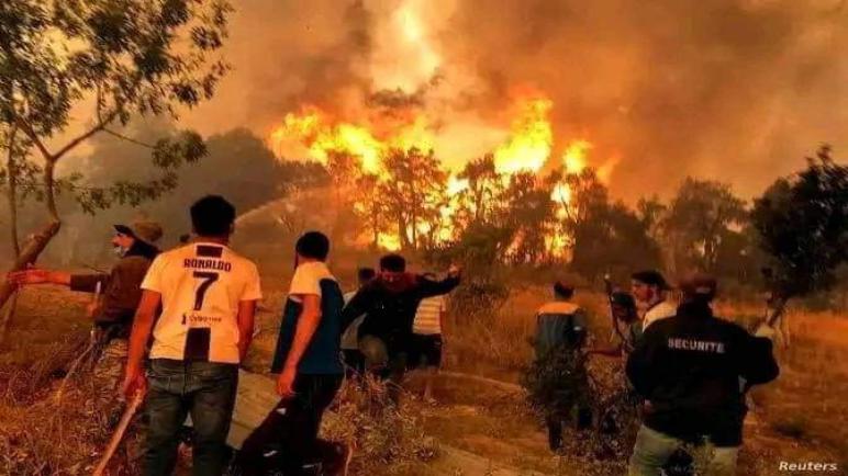 المغرب يعزي الجزائر في ضحايا حرائق الغابات