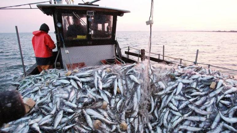 إسبانيا تدعم إبرام اتفاق جديد للصيد البحري بين المغرب والاتحاد الأوروبي