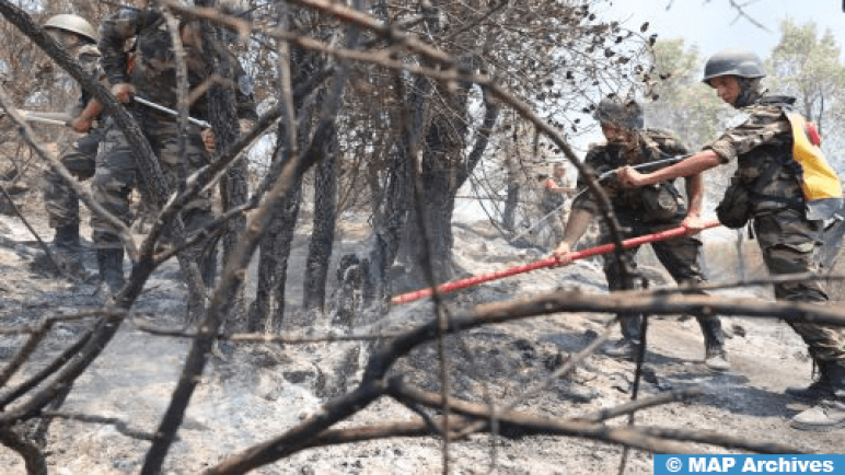 الجهود متواصلة برا وجوا للسيطرة على حريق غابوي بجماعة تاغرامت بإقليم الفحص-أنجرة